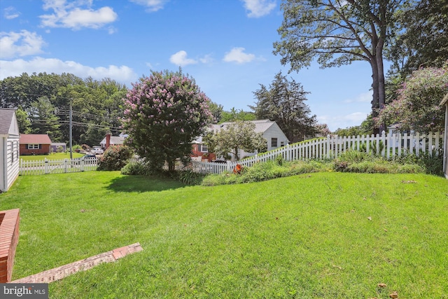 5214 Juliet St, Springfield, VA 22151 - view of fenced backyard