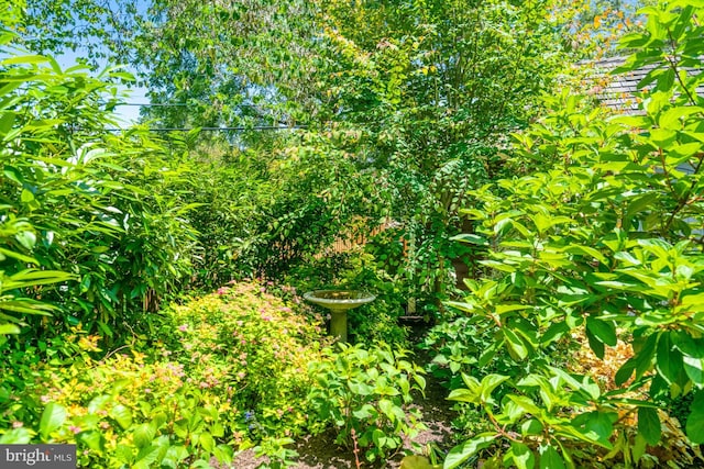 2305 S Inge St S, Arlington, VA 22202 - view of nature