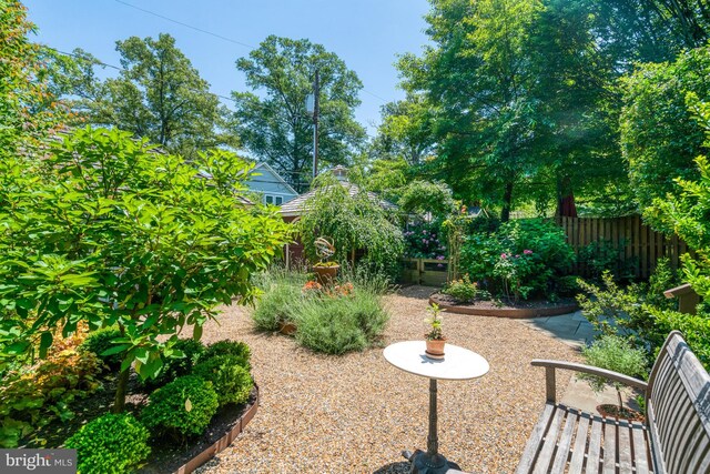 2305 S Inge St S, Arlington, VA 22202 - view of yard