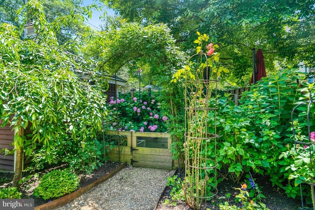 2305 S Inge St S, Arlington, VA 22202 - gate with a vegetable garden