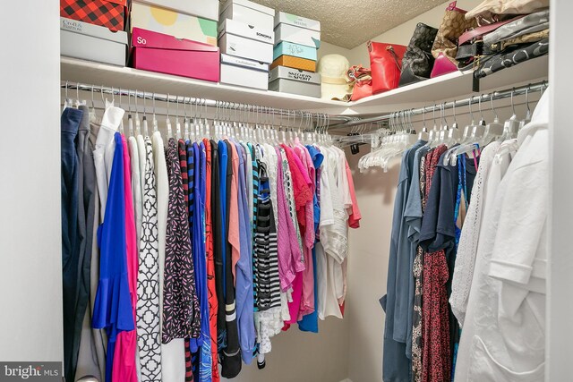 261 E Juniper Ave, Sterling, VA 20164 - view of walk in closet