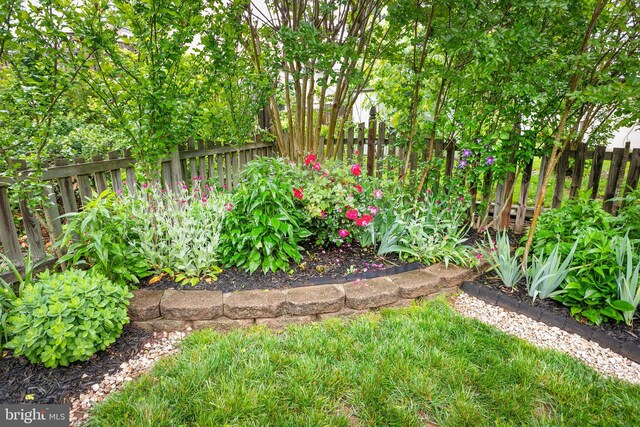 261 E Juniper Ave, Sterling, VA 20164 - view of yard