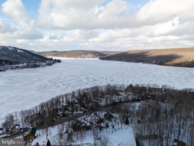 45 Village Dr Unit 4, Oakland, MD 21550 - water view with a mountainous background