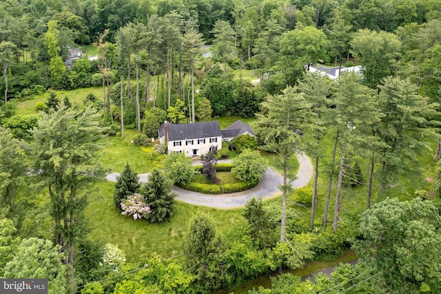 4582 Province Line, Princeton, NJ 08540 - view of subject property featuring a heavily wooded area