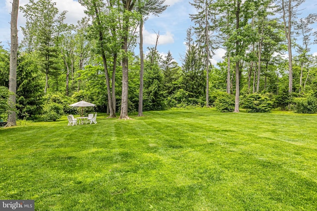 4582 Province Line, Princeton, NJ 08540 - view of grassy yard
