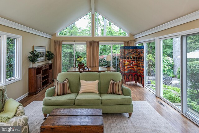 4582 Province Line, Princeton, NJ 08540 - sunroom with wood finished floors, high vaulted ceiling, and baseboards