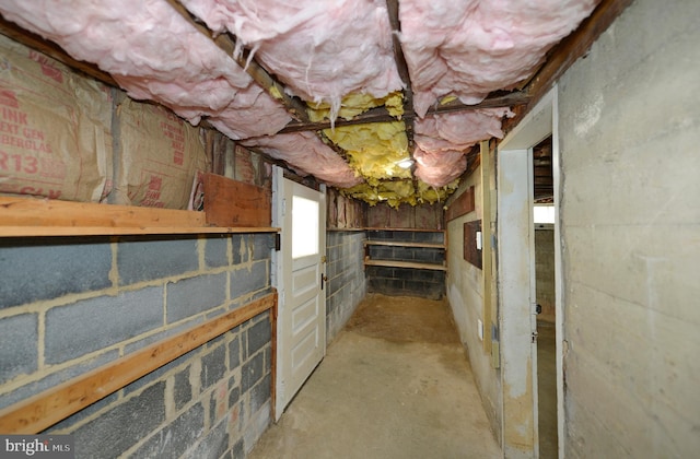 31 W Whitlock Ave, Winchester, VA 22601 - view of below grade area