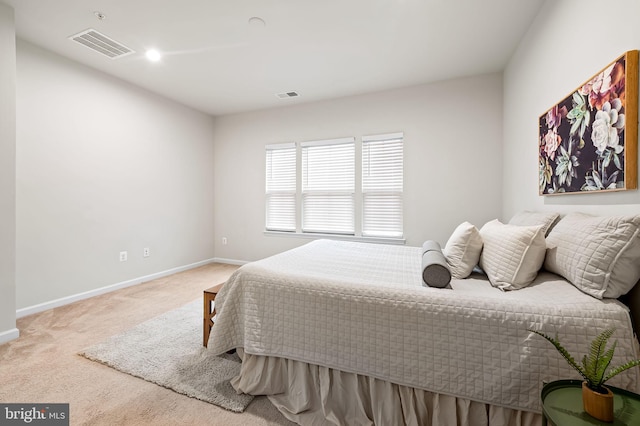 229 S Macon St, Baltimore, MD 21224 - bedroom with carpet floors and baseboards