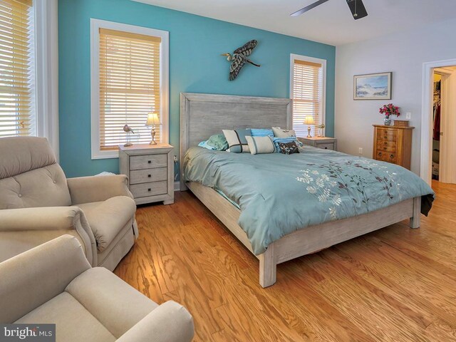 37529 Atlantic Ave Unit 11, Rehoboth Beach, DE 19971 - bedroom with wood finished floors, a spacious closet, and a ceiling fan