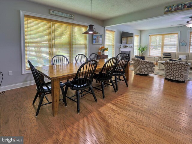 37529 Atlantic Ave Unit 11, Rehoboth Beach, DE 19971 - dining area with wood finished floors, a ceiling fan, a fireplace, baseboards, and a textured ceiling