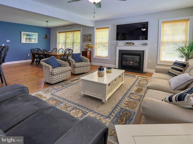 37529 Atlantic Ave Unit 11, Rehoboth Beach, DE 19971 - living area featuring ceiling fan, baseboards, wood finished floors, and a fireplace with flush hearth