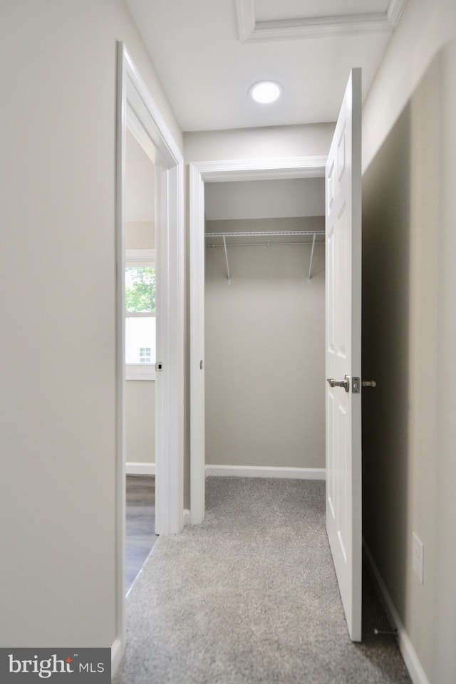 307 4th St, Seaford, DE 19973 - spacious closet with carpet