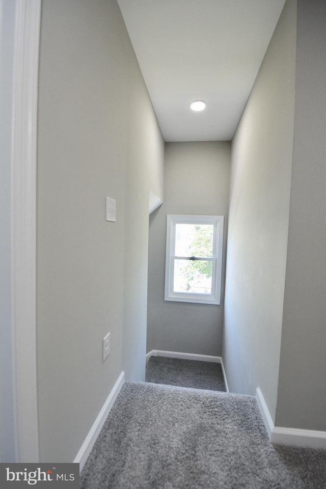 307 4th St, Seaford, DE 19973 - stairs with carpet and baseboards