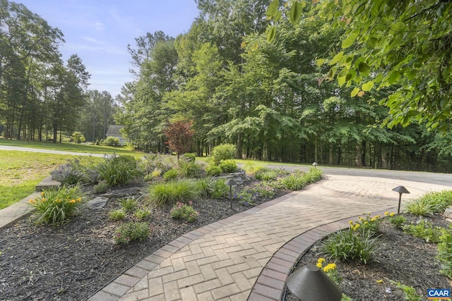 797 Willow Ridge Rd, Troy, VA 22974 - surrounding community with view of scattered trees
