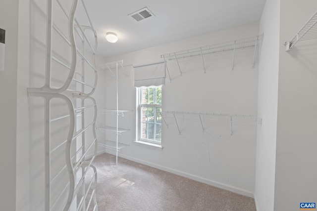797 Willow Ridge Rd, Troy, VA 22974 - walk in closet featuring carpet
