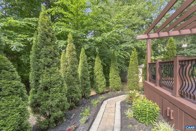 797 Willow Ridge Rd, Troy, VA 22974 - view of yard with a pergola