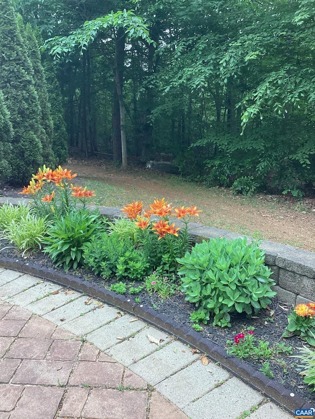 797 Willow Ridge Rd, Troy, VA 22974 - view of yard