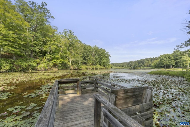 797 Willow Ridge Rd, Troy, VA 22974 - dock area featuring a view of trees and a water view