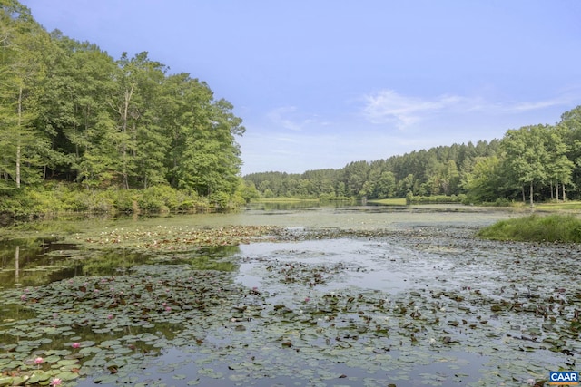 797 Willow Ridge Rd, Troy, VA 22974 - water view with a forest