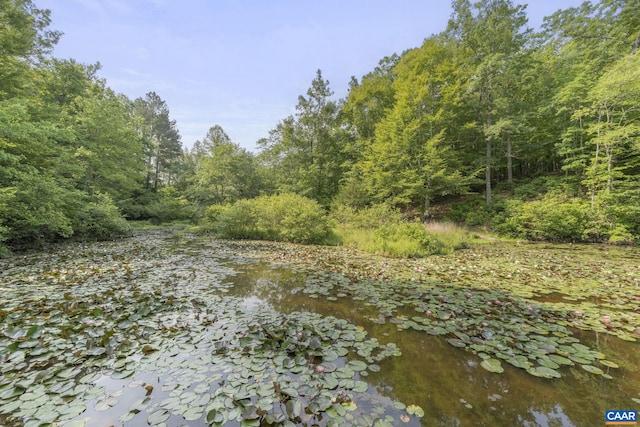 797 Willow Ridge Rd, Troy, VA 22974 - view of woods