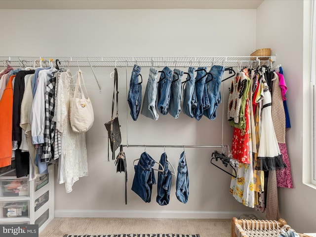 225 Norfolk Ln, Martinsburg, WV 25405 - walk in closet featuring carpet flooring