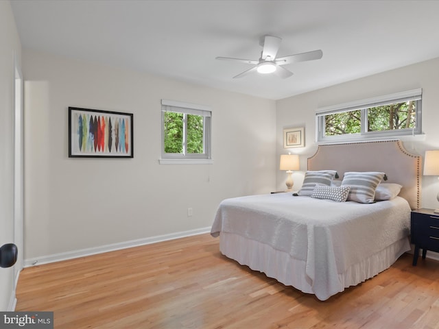 905 Peele Pl, Alexandria, VA 22304 - bedroom featuring light wood-style floors, multiple windows, baseboards, and ceiling fan