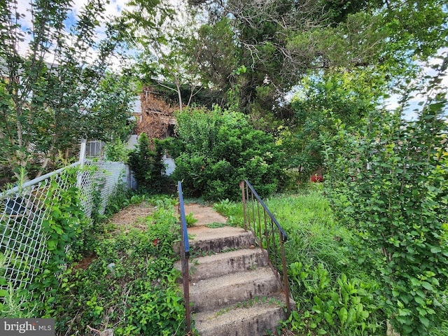3827 Cottage Ave, Baltimore, MD 21215 - view of yard