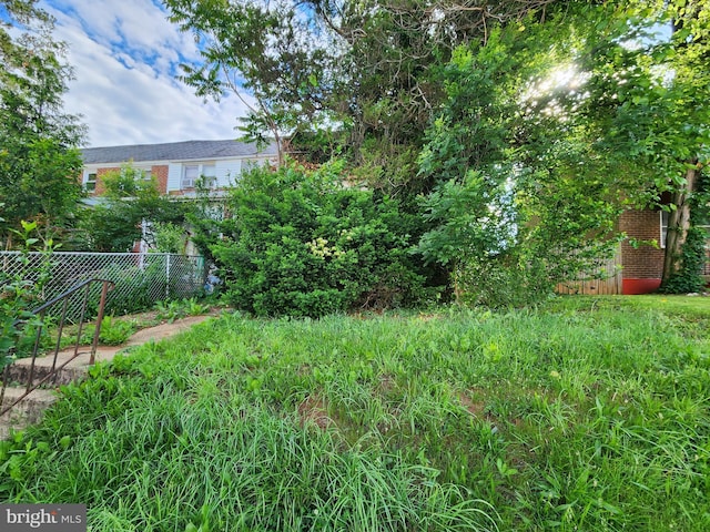 3827 Cottage Ave, Baltimore, MD 21215 - view of yard