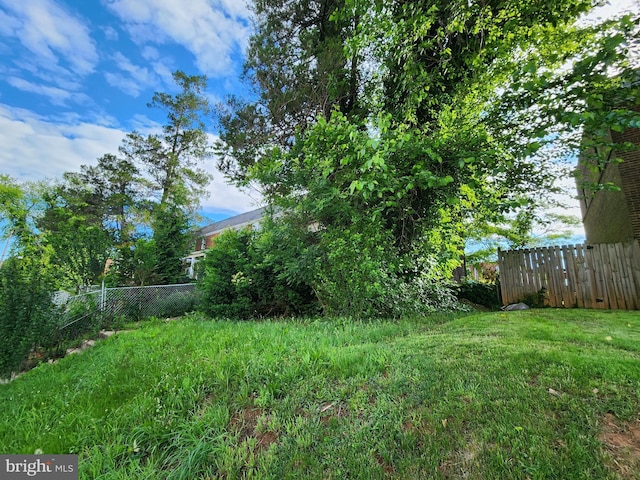 3827 Cottage Ave, Baltimore, MD 21215 - view of yard