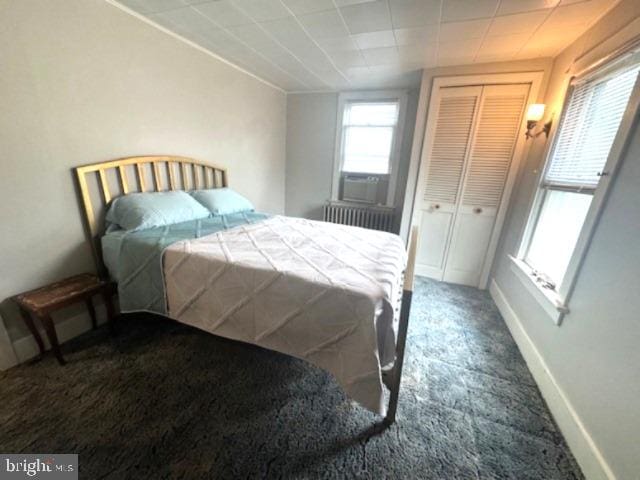 1512 River Rd, Upper Black Eddy, PA 18972 - bedroom with radiator heating unit, carpet floors, a closet, cooling unit, and baseboards