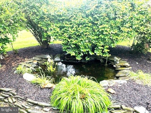 1512 River Rd, Upper Black Eddy, PA 18972 - exterior view of a garden pond