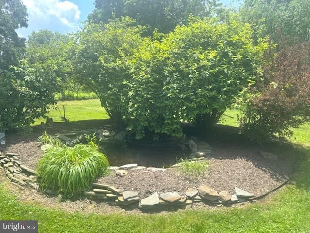 1512 River Rd, Upper Black Eddy, PA 18972 - view of green lawn