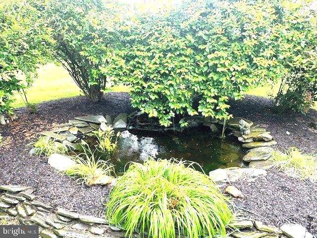 1512 River Rd, Upper Black Eddy, PA 18972 - exterior view of a garden pond