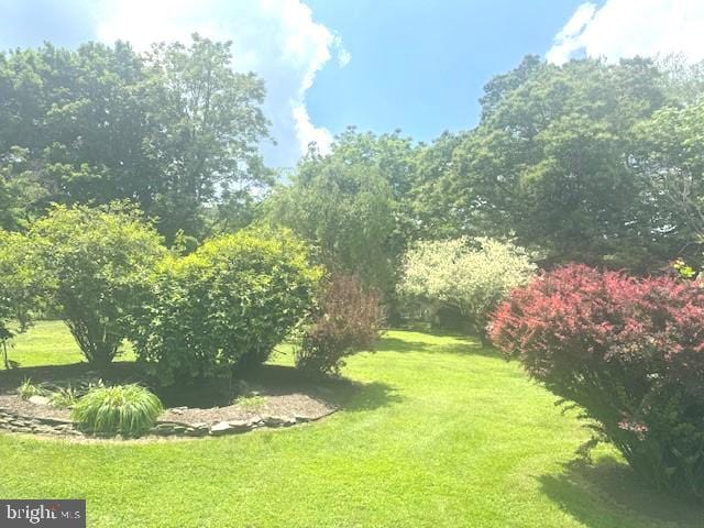 1512 River Rd, Upper Black Eddy, PA 18972 - view of green lawn