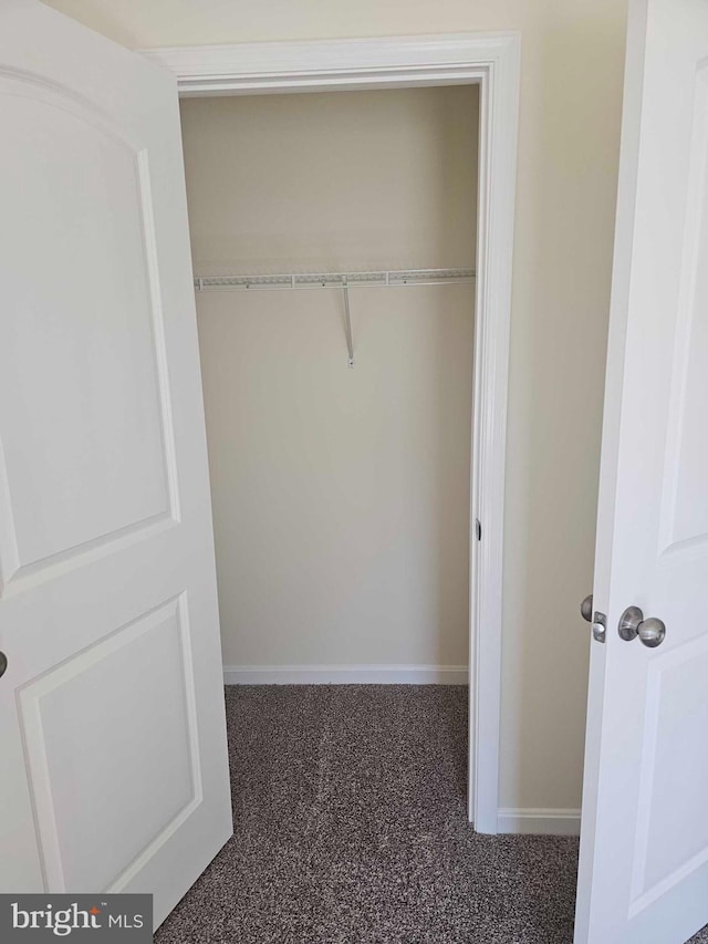241 Rojan Rd Unit 114, Dover, DE 19901 - view of closet