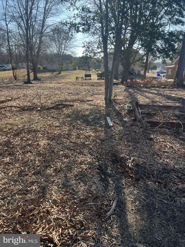 6640 Pomfret Rd, La Plata, MD 20646 - view of yard