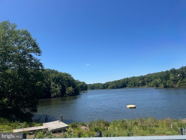 LOT59 Federalist Way, Montross, VA 22520 - water view with a heavily wooded area and a dock