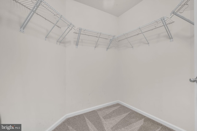 40578 Sculpin Ct, Aldie, VA 20105 - walk in closet with carpet