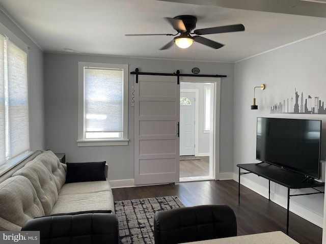 209 Hewitt Rd, Williamstown, NJ 08094 - living area with plenty of natural light, a barn door, a ceiling fan, dark wood-type flooring, and crown molding