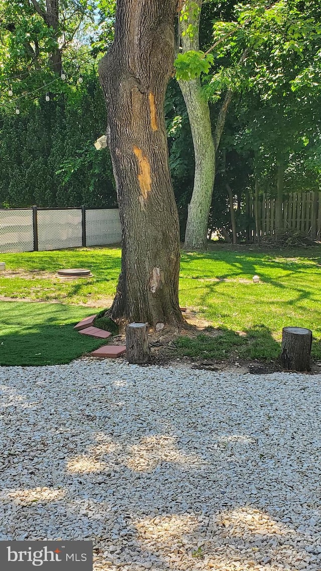 209 Hewitt Rd, Williamstown, NJ 08094 - view of yard