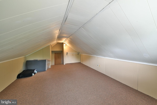 227 Rolling Hill Rd, Elkins Park, PA 19027 - additional living space with vaulted ceiling and carpet floors