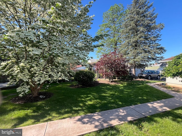 209 S Cherry St, Myerstown, PA 17067 - view of front of property with a front yard