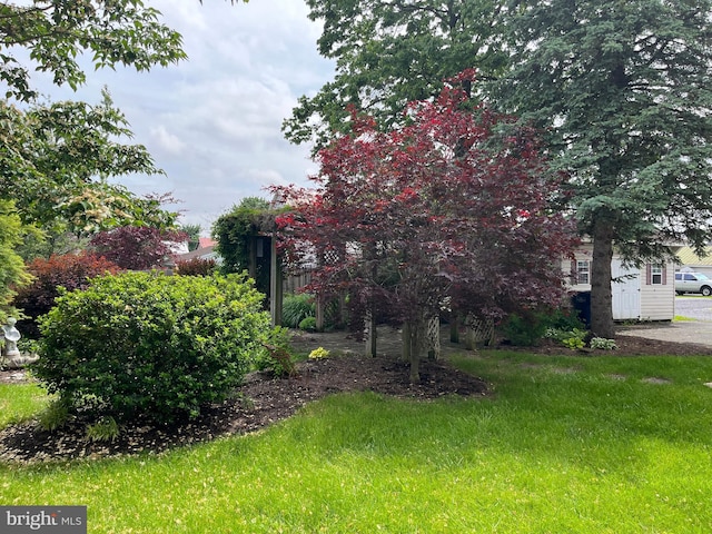 209 S Cherry St, Myerstown, PA 17067 - view of green lawn