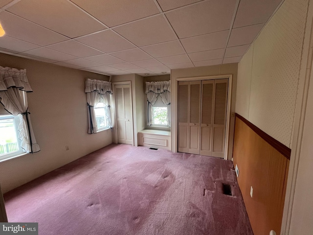 209 S Cherry St, Myerstown, PA 17067 - unfurnished bedroom with carpet, two closets, a paneled ceiling, and wooden walls