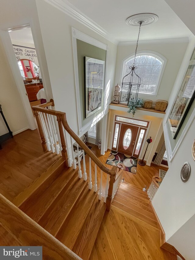 5 Cross Point Dr, Owings, MD 20736 - foyer featuring wood finished floors, crown molding, stairs, baseboards, and a chandelier