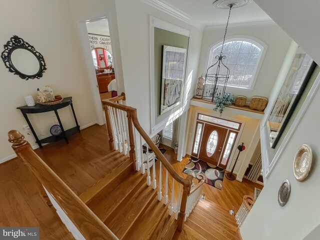 5 Cross Point Dr, Owings, MD 20736 - entrance foyer featuring wood finished floors, ornamental molding, baseboards, a chandelier, and stairway