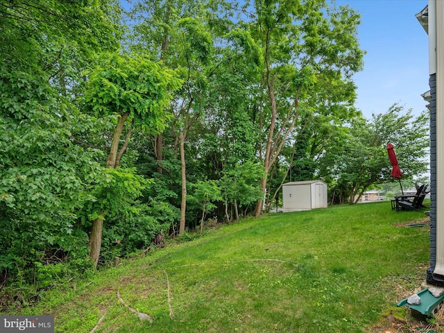 3716 Hill Park Dr, Temple Hills, MD 20748 - view of green lawn