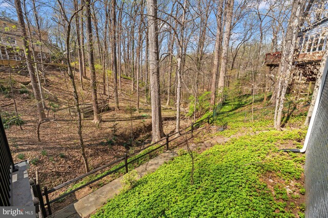 1426 Highwood Dr, Mclean, VA 22101 - view of yard