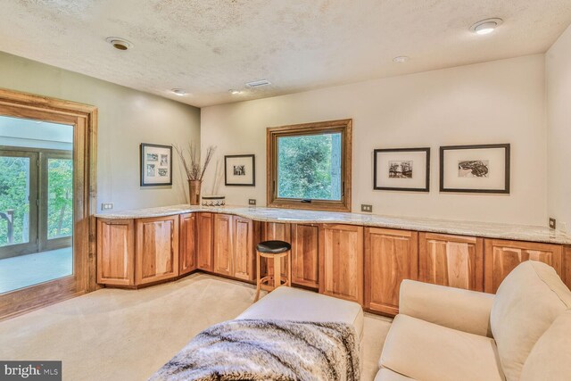 1534 Circle Dr, Annapolis, MD 21409 - living area with healthy amount of natural light, light carpet, and a textured ceiling