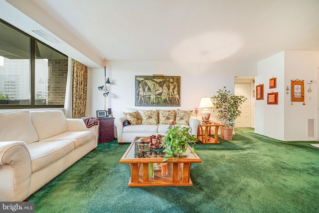 5501 Seminary Rd Unit 401S, Falls Church, VA 22041 - living room featuring carpet